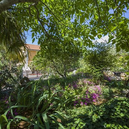Apartment Vili Pinezići Εξωτερικό φωτογραφία